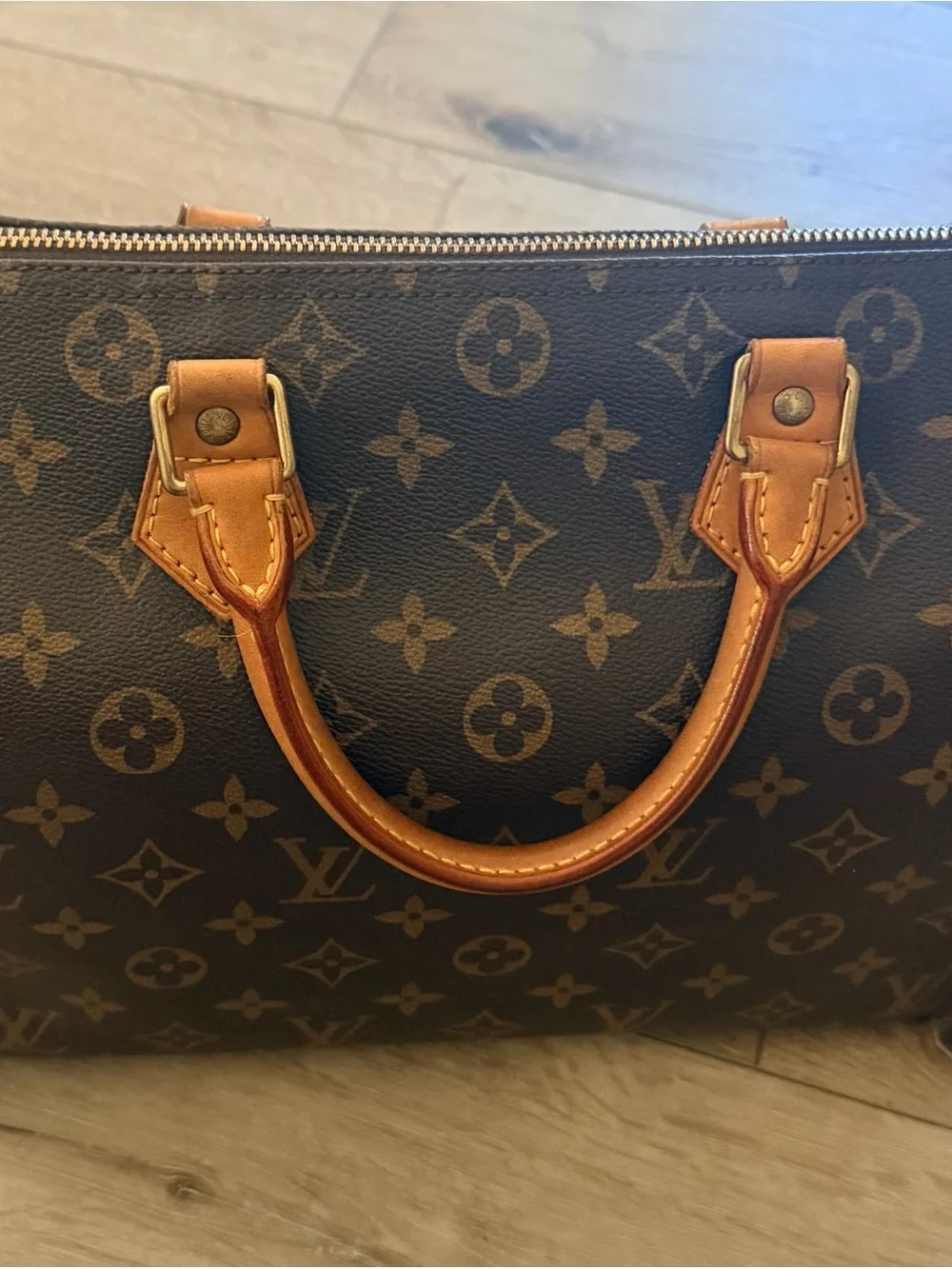 Louis Vuitton Monogram Canvas Top Handle Bag in Brown